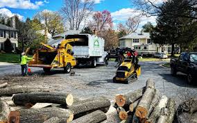 Mulching Services in Rice Lake, WI